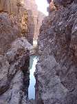43 photo